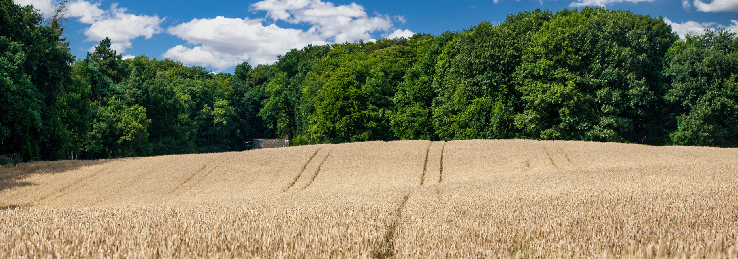 Worpswede Weyerberg
