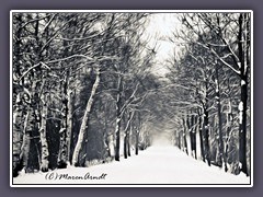 Kreisstraße im Winter
