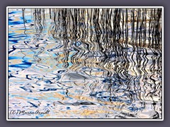 Schilf im bewegten Wasser