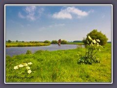 Torfkahn auf der Hamme