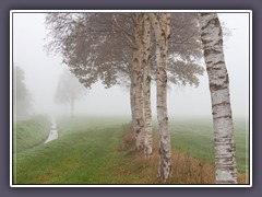 Herbst - Nebel