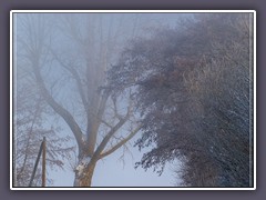 Winter - Im Nebel