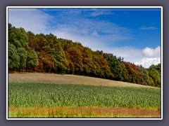 Worpswede - Herbst auf dem  Weyerberg