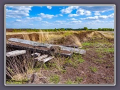 Die Fotos entstanden im Jahre 2012 m Torfabbaugebiet Huvenhoopsmoor