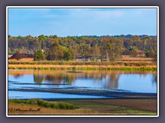 Torfabbauseenplatte - Rastplatz für 1000de Kraniche im Herbst