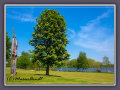 Frühling am See