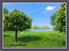 Natur und Erlebnispark Vörder See