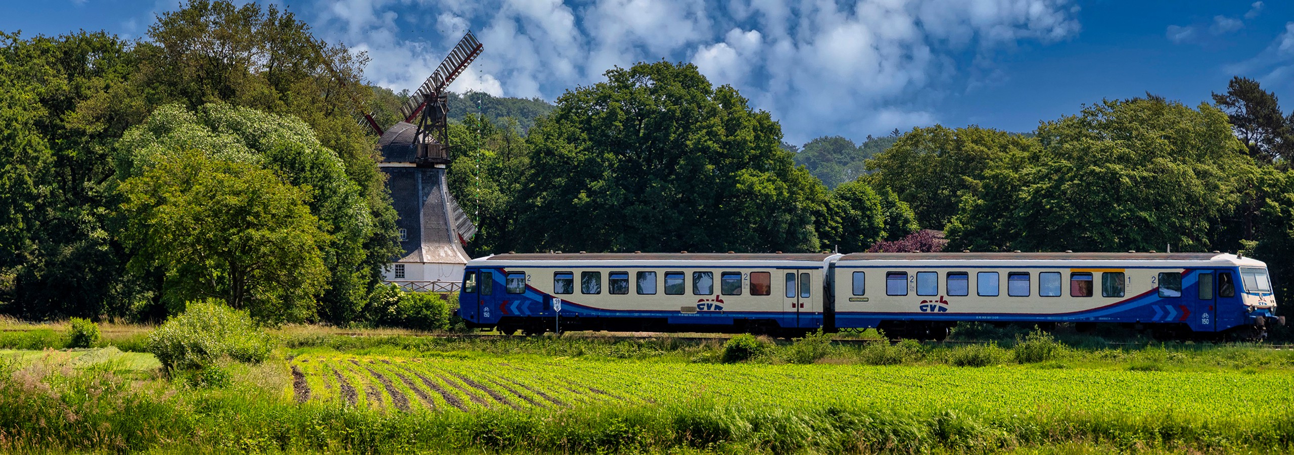 Moorexpress