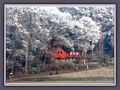 Das Haus im Wald