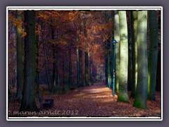 Im herbstlichen Klosterholze