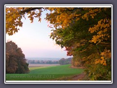 Lisel Oppel Weg auf dem Weyerberg