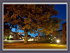 Osterholz Scharmbeck Lindenstrasse