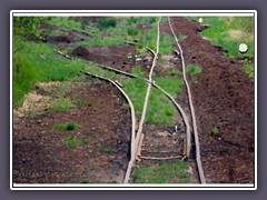 Schienen im Moor