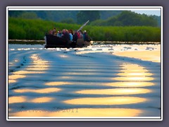 Sonnenlicht auf der Hamme