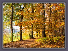 Am Thiergarten Weg