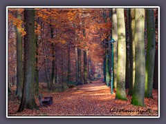 Klosterholz in den Herbtfarben