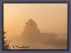 Nebel - der Moorexpress