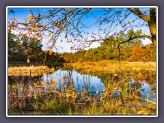 Seemoor - Herbstliches Ambiente