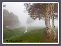 Wege ins Moor - Umbeck