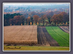 Weyerberg - Blick ins Land