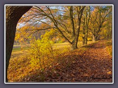 Weyerberg - Reiseland Niedersachsen