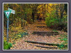 Weyerberg - Treppe zum Gipfel