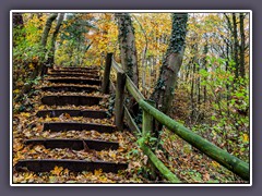 Worpswede - Stufen im Barkenhoff Wald