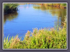 Frühling - An der Wümme