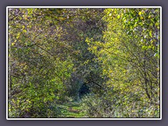 Frühling - Moorwege