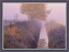 Herbst - erster Frost bei Neu Helgoland