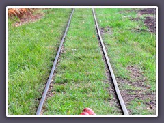 Sommer - Moorbahn im Huvenhoopsmoor