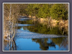 Winter - Hamberger Moor