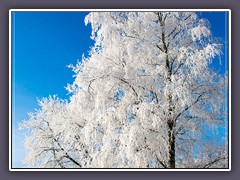 Winter - Landkreis Osterholz