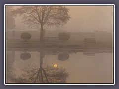 Winter - Sonnenaufgang im Nebel an der Hamme