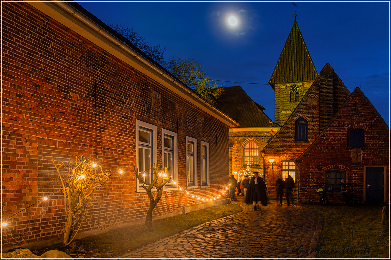 Die alte Weide an der Hamme