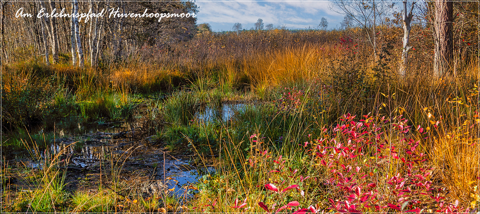 Herbst im Teufelsmoor