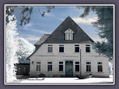 Das Findorffhaus - Norddeutsches Vogelmuseum