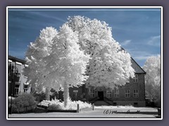 Die Schule am Klosterplatz in OHZ