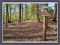 Zeckengefahr im Wald