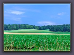 Felder am Weyerberg