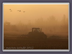 Pflügen im ersten Morgenlicht