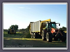 Silage