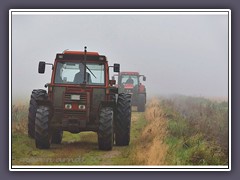 Trecker im Nebel