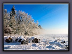 Winterruhe auf Wiesen und Feldern