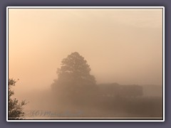 Aus dem Nebel kommen