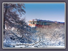 Der Moorexpress - auch ein beliebtes Fotomotiv