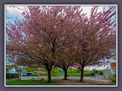 Fahrt in den Frühling