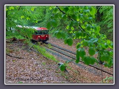 Frühling - Saisonstart für den Moorexpress