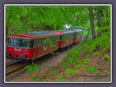 Frühlingsgrüne Buchen und der rote Moorexpress