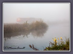 Im Nebel verschwinden